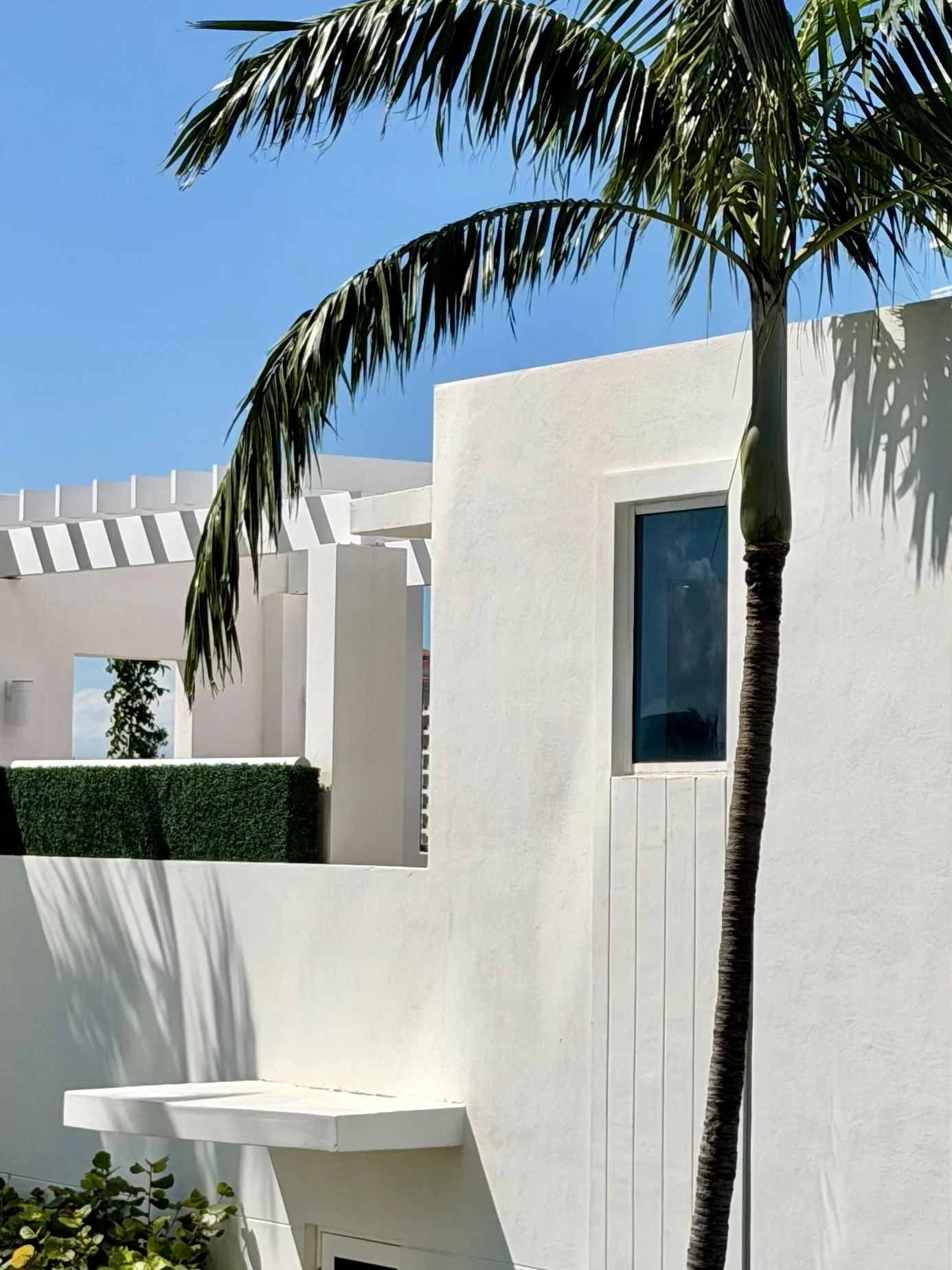 Clean white stucco Miami Beach home with a palm tree, window, and white pergola